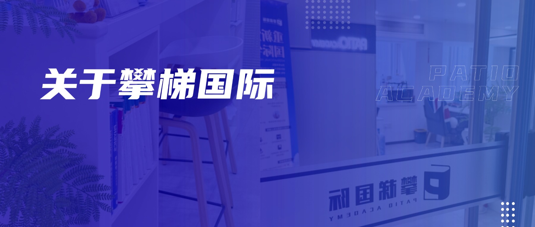 关于攀梯国际